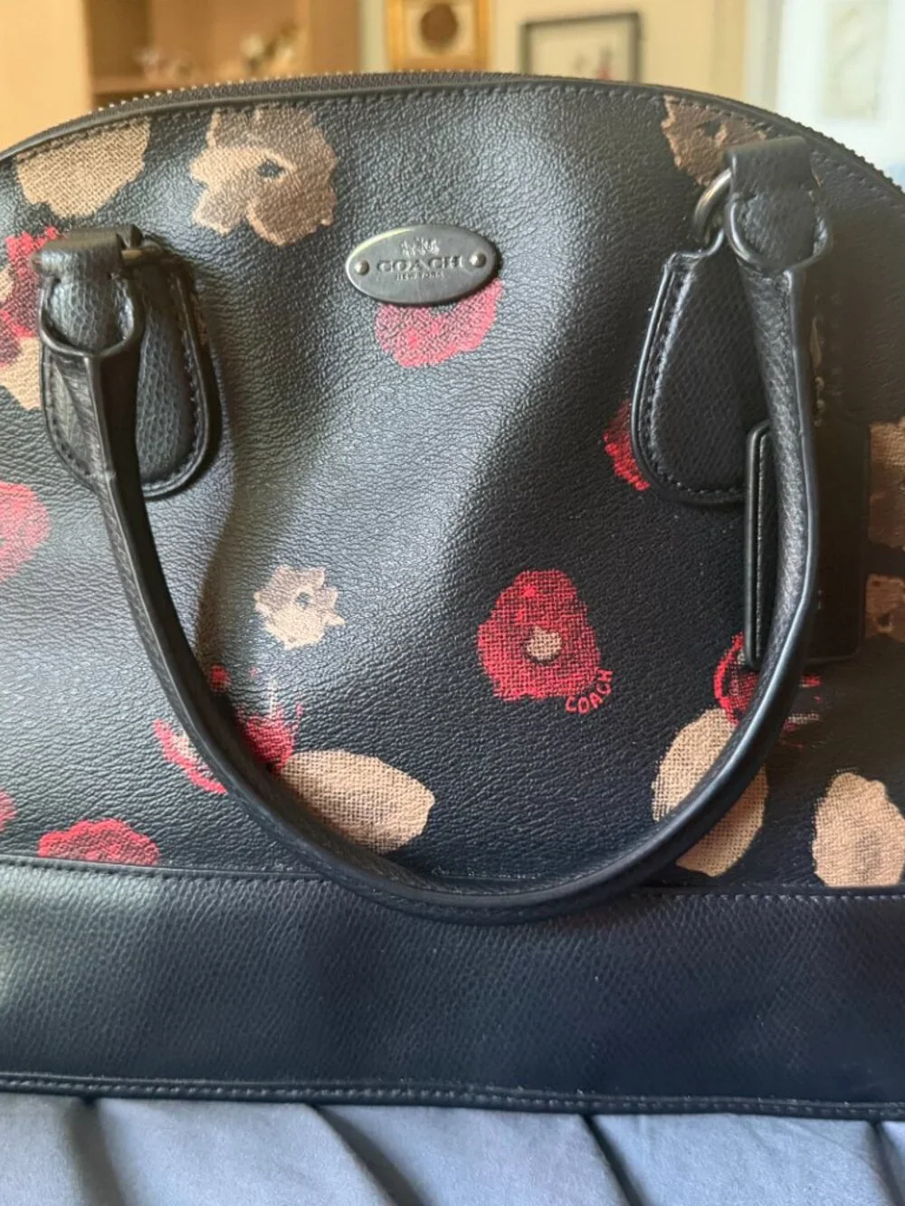 Coach Cora Domed Satchel in Black/Multi Floral Print